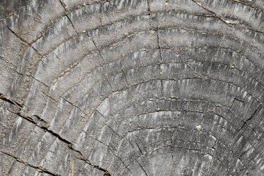 turuncu doğal yüzey dokusu - güzel soyut fotoğraf arka plan