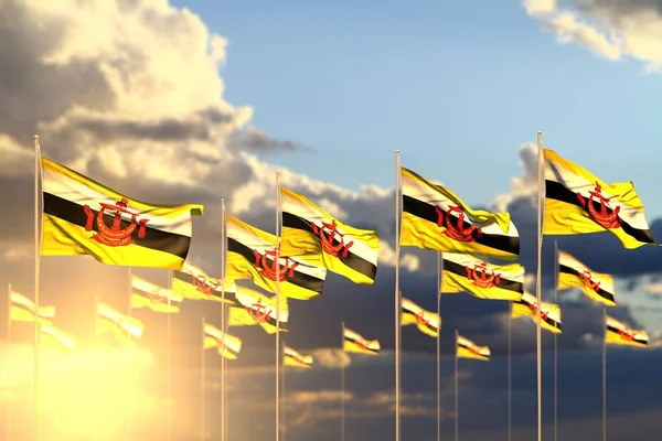 Maravillosas muchas banderas de Brunei Darussalam en la puesta del sol colocadas en fila con enfoque selectivo y lugar para su contenido - cualquier celebración bandera 3d ilustración — Foto de Stock