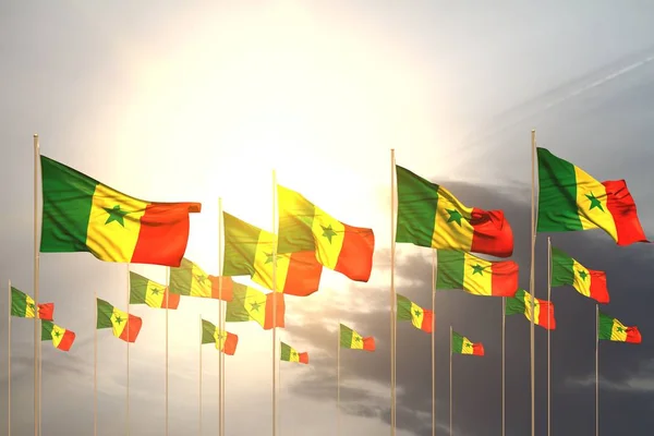 Maravilloso muchas banderas de Senegal en una fila en la puesta del sol con espacio vacío para su texto - cualquier ocasión bandera 3d ilustración — Foto de Stock