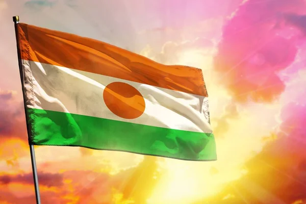 Fruwające Niger Flaga na pięknym kolorowym zachodzie słońca lub Wschodu tła. Koncepcja sukcesu. — Zdjęcie stockowe