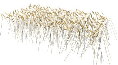 Beyaz arka planda izole buğday Spica alanı işlenmiş paket üst tarafı görünümü endüstriyel 3D Illustration-tarım