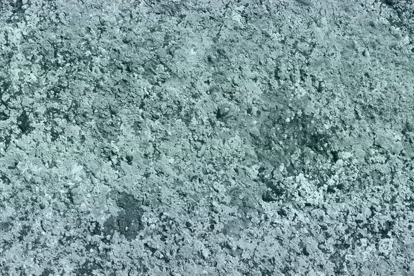 Lichen désordonné créatif sur la texture de la pierre - fantastique fond photo abstrait — Photo