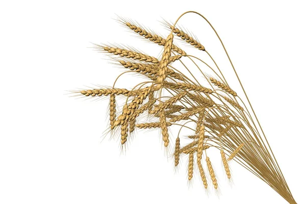 Ramo renderizado de spica de trigo aislado sobre fondo blanco - agricultura, ilustración industrial 3D —  Fotos de Stock