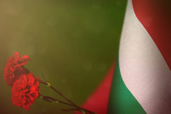Magyarország zászlója tiszteletére veteránok vagy emléknap két piros szegfűt virág mockup. Dicsőség a Magyarországnak a háború hősei zöld sötét bársony. — Stock Fotó