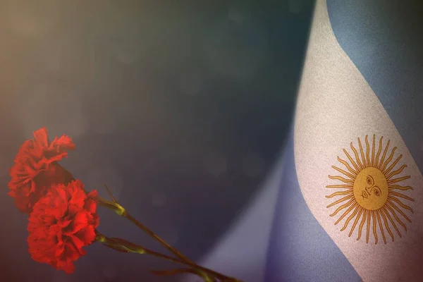 Argentina flagga för heder av veteraner eller Memorial Day med två röda nejlika blommor mockup. Glory to Argentina Heroes of War koncept på blå mörk sammet. — Stockfoto