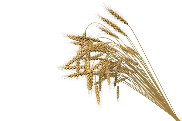 Modernes Bündel Weizen-Spica isoliert auf weißem Hintergrund - Landwirtschaft, industrielle 3D-Illustration — Stockfoto