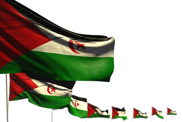 Ziemlich westlichen Sahara isolierte Flaggen diagonal platziert, Bild mit selektivem Fokus und Platz für Ihren Text - jede Gelegenheit Flagge 3D-Illustration — Stockfoto