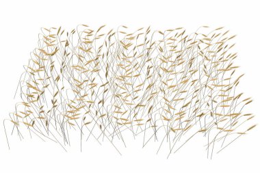 Üst - yan görünüm beyaz arka plan izole buğday sivri ler alan modern yığın endüstriyel 3d illüstrasyon - tarım