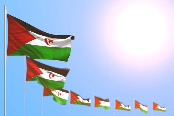 Merveilleux de nombreux drapeaux du Sahara Occidental placés en diagonale avec bokeh et espace vide pour votre contenu - n'importe quel drapeau de fête illustration 3D — Photo