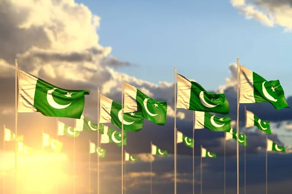 cute many Pakistan flags on sunset placed in row with selective focus and space for content - any celebration flag 3d illustration