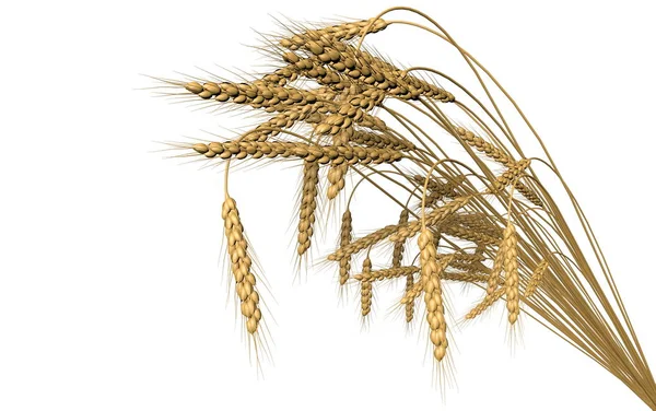 Krásná banda pšenice Spica izolovaná na bílém pozadí-zemědělství, industriální 3D ilustrace — Stock fotografie