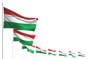 harika Macaristan izole bayraklar diyagonal yerleştirilir, metin için seçici odak ve alan ile illüstrasyon - herhangi bir tatil bayrağı 3d illüstrasyon