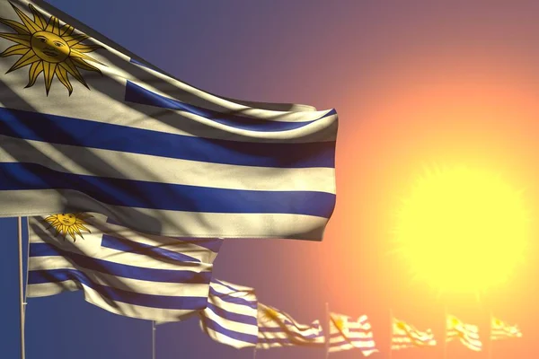 Wunderbare viele uruguay Flaggen bei Sonnenuntergang diagonal platziert mit weichem Fokus und Platz für Text - jede Feier Flagge 3D-Illustration — Stockfoto