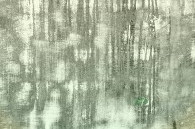 büyük temizlenmiş noktalar doku ile yeşil eski ahşap zemin - oldukça soyut fotoğraf arka plan