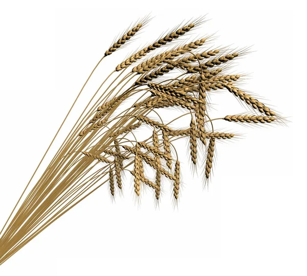 Průmyslová 3D ilustrace těžiště pšeničných spikeletů izolovaných na bílém pozadí-zemědělství — Stock fotografie