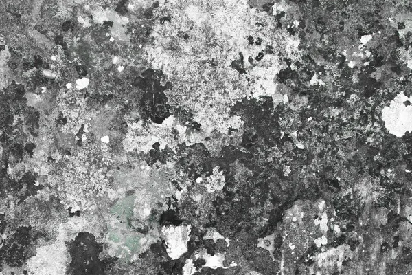 Duvar dokusu nda yaratıcı çizgili mantar - sevimli soyut fotoğraf arka plan — Stok fotoğraf
