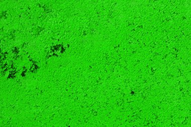 arka plan olarak kullanmak için güzel yaşlı yeşil dekoratif sıva doku.