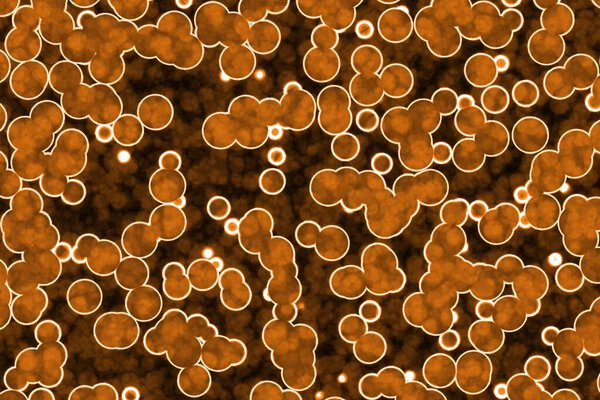 nice artistic orange a lot of organic cells computer art texture or background illustration