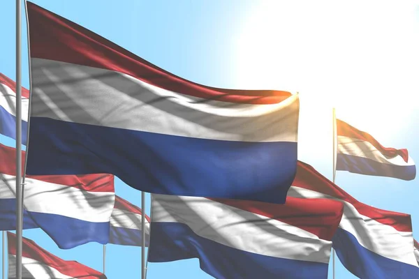 Agradável Muitas Bandeiras Holandesas Estão Acenando Fundo Céu Azul Qualquer — Fotografia de Stock