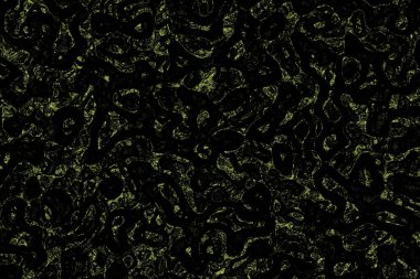 yaratıcı kireç gölgesi ürkütücü bilgisayar grafikleri doku çizimi