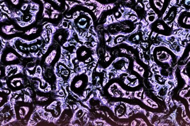 Modern karanlık, korkunç, bilgisayar sanatı arkaplan çizimi