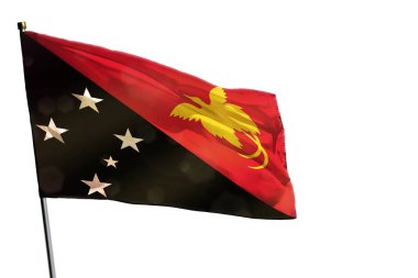Dalgalanan Papua Yeni Gine bayrağı beyaz arkaplanda izole edildi.