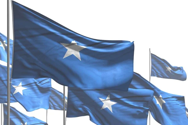许多美丽的索马里国旗在白色上飘扬 任何假日旗帜 — 图库照片