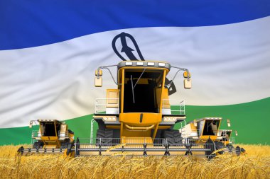 Kırsal alandaki 4 turuncu hasatçı bayrakla birleştirdi, Lesotho tarım kavramı - endüstriyel 3D illüstrasyon