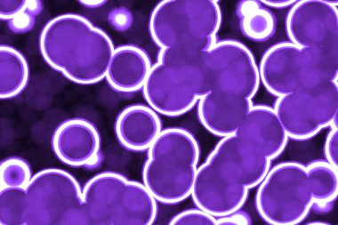 yaratıcı, mor, çok renkli biyo fosforlu ışıltı desenli dijital arkaplan çizimi