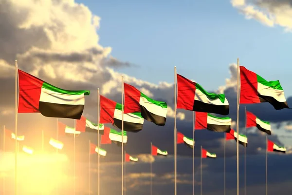 Красивые Многие Флаги Объединенных Арабских Эмиратов Закате Размещенные Ряд Мягким — стоковое фото