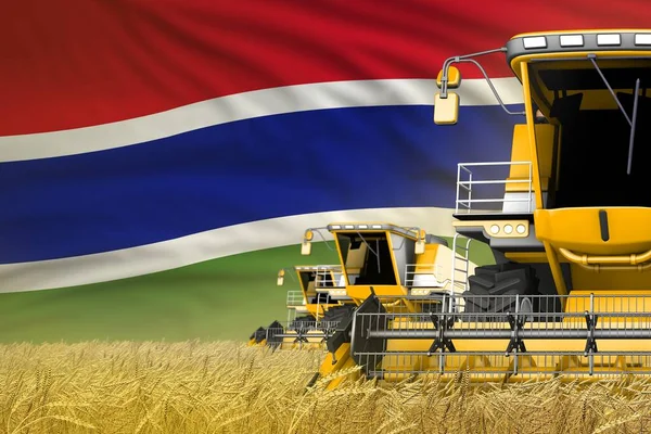 Три Современных Желтых Комбайна Флагом Гамбии Пшеничном Поле Близкий Обзор — стоковое фото