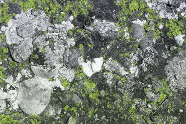 Kaya dokusunda eski güzel çizgili yosun - soyut fotoğraf arkaplanı