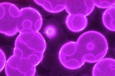 Güzel tasarım pembe şablon biyoaydınlatma şablonu dijital grafik arkaplan veya doku çizimi