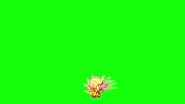 Kromakey kullanımı için yeşil ekranda izole edilmiş ateş, duman ve alevlerle büyük bir bomba patlaması - 4K UHD 60 FPS 3D animasyon