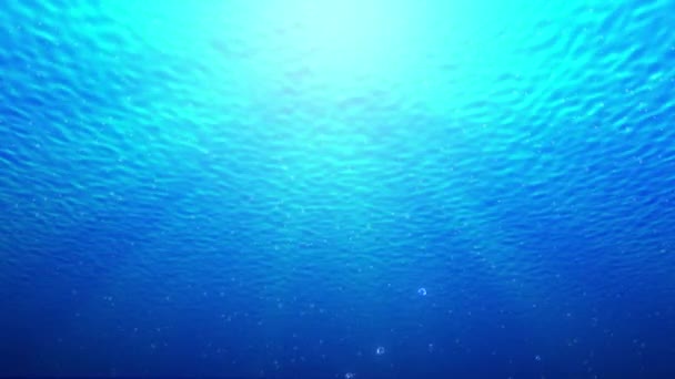 Víz Alatt Elvont Kék Tenger Vagy Óceán Háttér Aranyos Buborékok — Stock videók