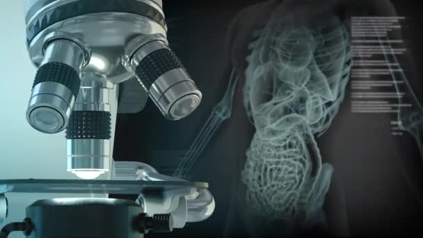 X線男性の骨格と体の解剖学的検査 60FpsのUhd 3Dアニメーションクリップアートと創造的な灰色の背景に科学的な顕微鏡でヘルスケアの概念 — ストック動画