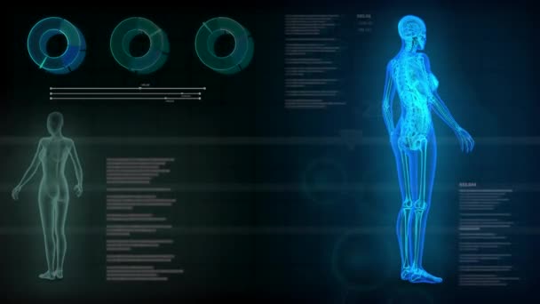 Fundo Sem Costura Looping Com Corpo Feminino Raios Roentgen Órgãos — Vídeo de Stock