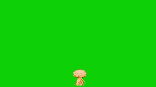 버섯구름과 미사일 크로마 사용을 화면에 Uhd Fps 애니메이션 — 비디오