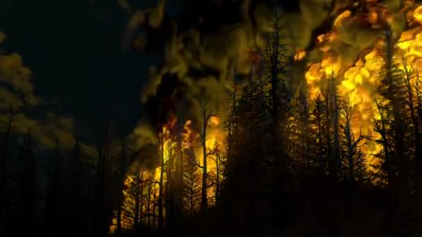 Катастрофа Лесной Пожар Горящие Деревья Темном Небе Дымом Горящим Огнем — стоковое видео