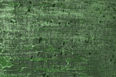 Şirin yeşil çizgili renkli doğal ahşap desen - soyut fotoğraf arkaplanı