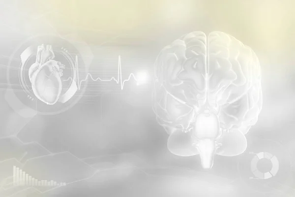 Medyczna Ilustracja Ludzki Mózg Koncepcja Badań Wywiadowczych Wysoce Szczegółowa Faktura — Zdjęcie stockowe
