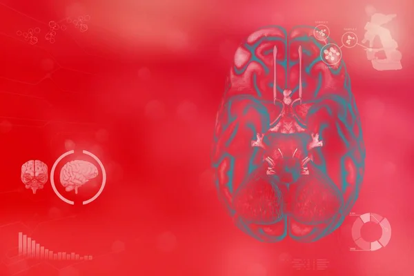 Ilustração Médica Cérebro Humano Conceito Análise Cérebro Textura Tech Altamente — Fotografia de Stock