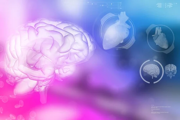 Cerebro Humano Concepto Trabajo Cerebral Antecedentes Electrónicos Muy Detallados Ilustración — Foto de Stock