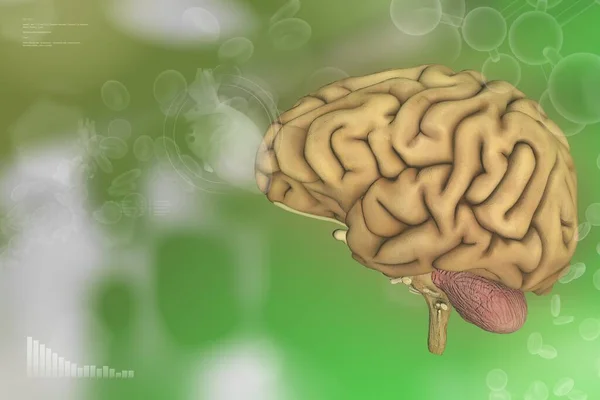 Medical 3D illustration - human brain, brain surgery development concept - highly detailed hi-tech texture