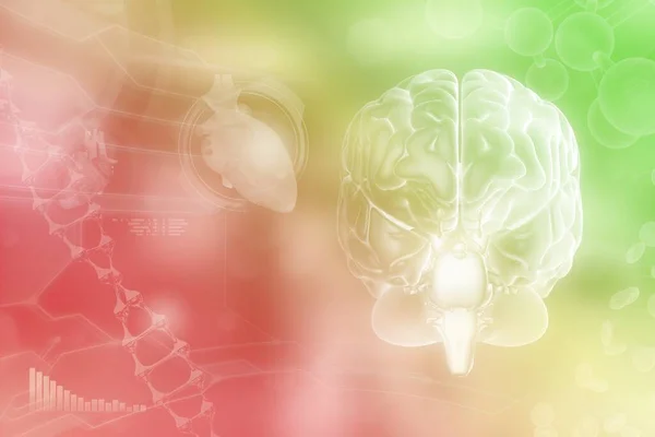 Medical 3D illustration - human brain, wisdom research concept - very detailed hi-tech texture