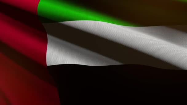 60Fps Σκούρα Σημαία Ηνωμένων Αραβικών Εμιράτων Χρωματισμένη Πράσινο Κόκκινο Μαύρο — Αρχείο Βίντεο