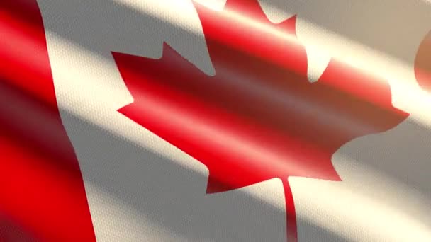 60Fps Helder Glanzend Fluweel Canada Vlag Gekleurd Rood Wit Golvende — Stockvideo