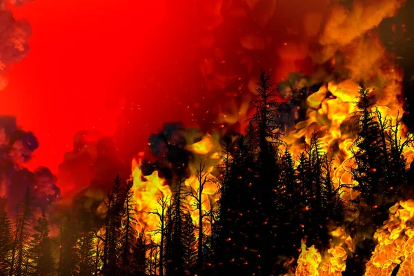 Koncept Lesních Požárů Hořící Požár Lesích Červeném Pozadí Ilustrace Přírody — Stock fotografie