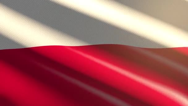 60Fps Fényes Fényes Bársony Lengyelország Zászló Hullámzó Háttér Uhd Zökkenőmentes — Stock videók