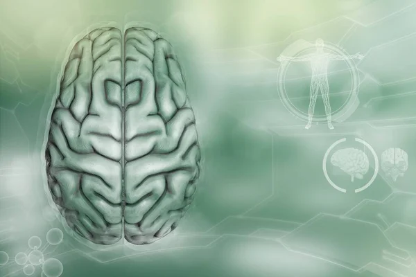 Ludzki Mózg Koncepcja Badań Umysłowych Bardzo Szczegółowe Współczesne Tło Medyczna — Zdjęcie stockowe